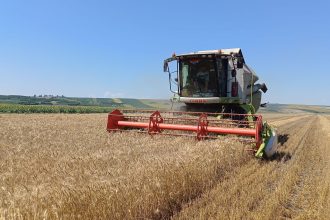 Performanta agricola O echipa de fermiere dintr o comuna din Botosani ocupa locul 1 in tara la profit