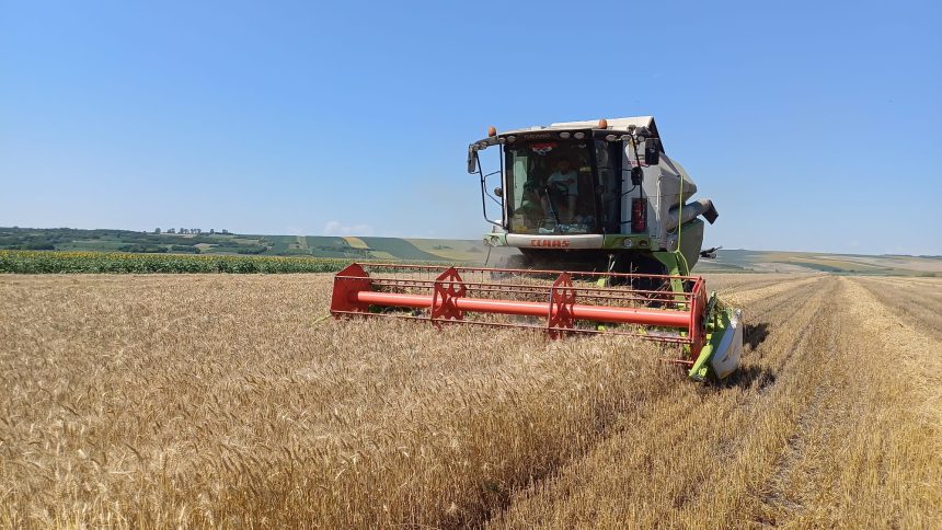 Performanta agricola O echipa de fermiere dintr o comuna din Botosani ocupa locul 1 in tara la profit