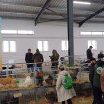 Statiunea de Cercetare Popauti recruteaza ingrijitori de animale Ce salarii si beneficii sunt disponibile