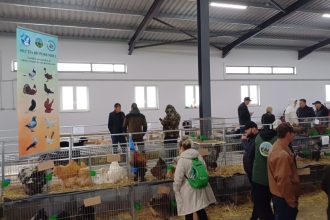 Statiunea de Cercetare Popauti recruteaza ingrijitori de animale Ce salarii si beneficii sunt disponibile
