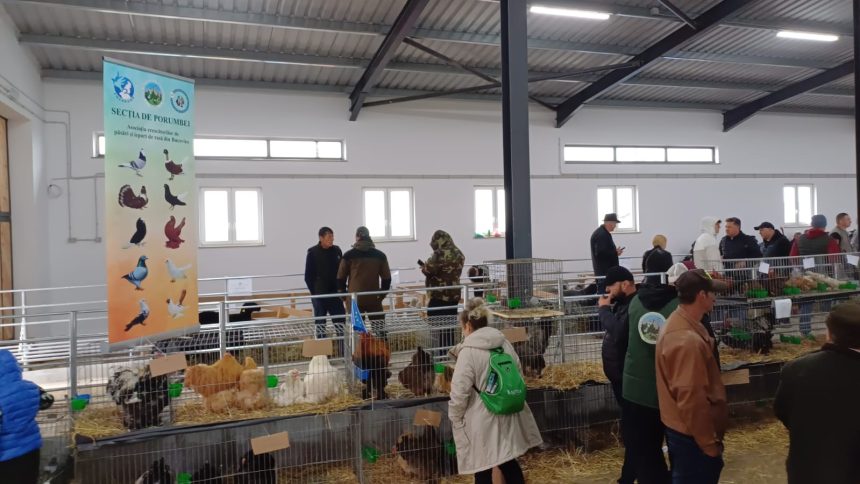 Statiunea de Cercetare Popauti recruteaza ingrijitori de animale Ce salarii si beneficii sunt disponibile