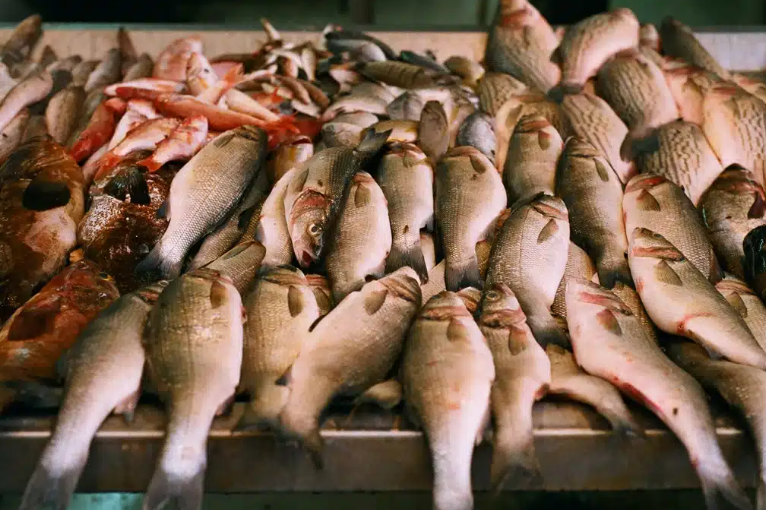 Un inginer piscicol din Botosani care produce 300 de tone de peste Competitia cu peste de import devine din ce in ce mai acerca Nu avem piata de desfacere