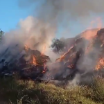 VIDEO Flacari enorme intr o localitate din judetul Botosani 40 de tone de furaje au ars complet