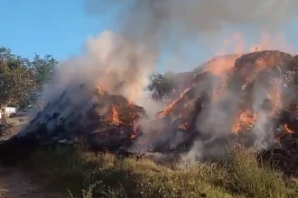 VIDEO Flacari enorme intr o localitate din judetul Botosani 40 de tone de furaje au ars complet
