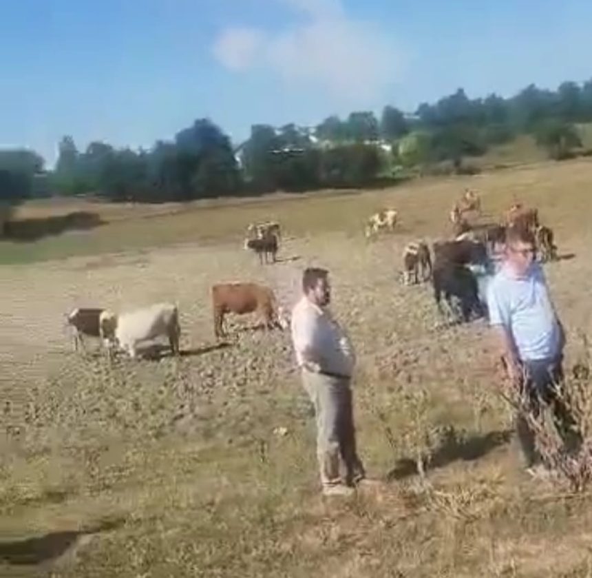 VIDEO Revolta intr o localitate din Botosani Un fermier ameninta ca isi va vinde toate cele 70 de vaci dupa ce a ramas fara pasune si acces la apa