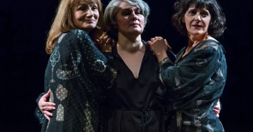 Actrițe din Botoșani premiate la Festivalul Internațional de Teatru de la Oradea