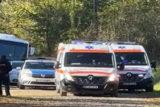 Bărbat găsit împușcat în cap într-o pădure din Iași, internat în comă la Neurochirurgie