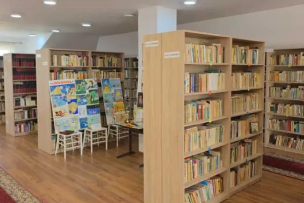 Bibliotecile rurale din Botoșani: între pasiune și dezinteres