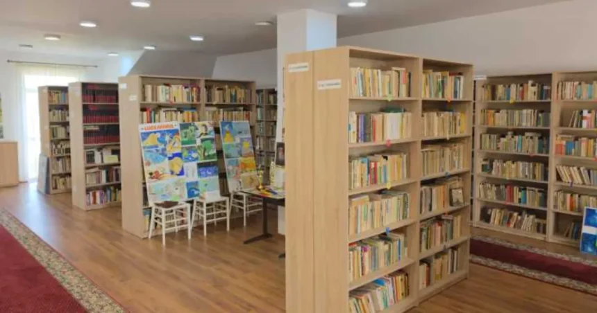 Bibliotecile rurale din Botoșani: între pasiune și dezinteres