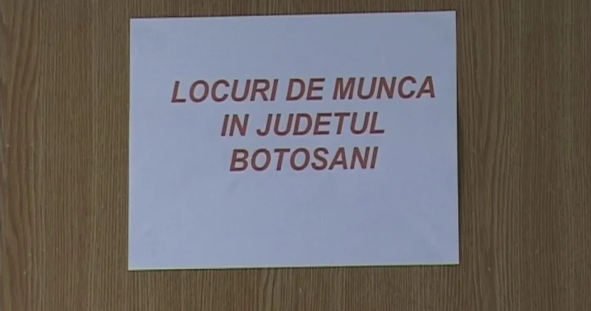 Cauți de muncă? Locurile vacante din baza de date AJOFM Botoșani, săptămâna aceasta