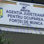 Companie din Botoșani concediază 60 de angajați și își închide operațiunile