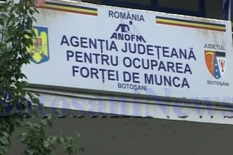 Companie din Botoșani concediază 60 de angajați și își închide operațiunile