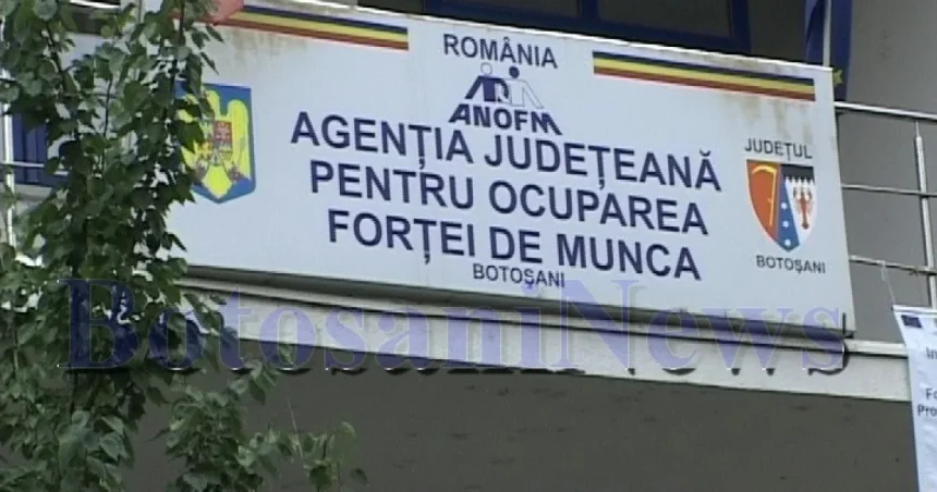 Companie din Botoșani concediază 60 de angajați și își închide operațiunile