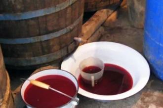 Cum ne protejăm de „ucigașul tăcut” la fermentarea vinului. Avertisment ISU