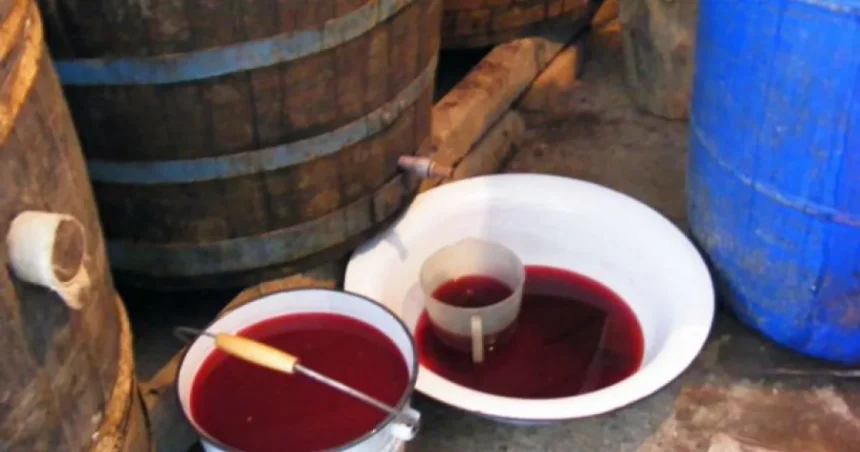 Cum ne protejăm de „ucigașul tăcut” la fermentarea vinului. Avertisment ISU