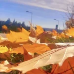 Cum va fi vremea până pe 5 octombrie. Anunțul meteorologilor de astăzi
