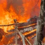 Doi morți la Botoșani din cauza instalațiilor electrice improvizate