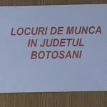Locuri de muncă vacante în baza de date a AJOFM Botoșani, săptămâna aceasta