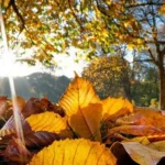 Meteorologii anunță cum va fi vremea până pe 19 octombrie