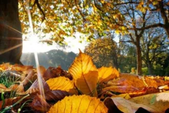Meteorologii anunță cum va fi vremea până pe 19 octombrie