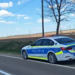 Polițiștii botoșăneni au oprit în trafic un transport ilegal de lemne