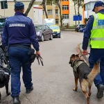 Polițiștii fac controale în școlile din Botoșani și Dorohoi