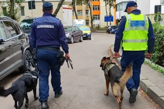 Polițiștii fac controale în școlile din Botoșani și Dorohoi