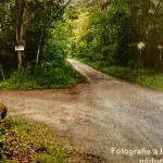 Recompensă de 5000 de euro pentru prinderea botoșăneanului suspectat de crimă în Germania