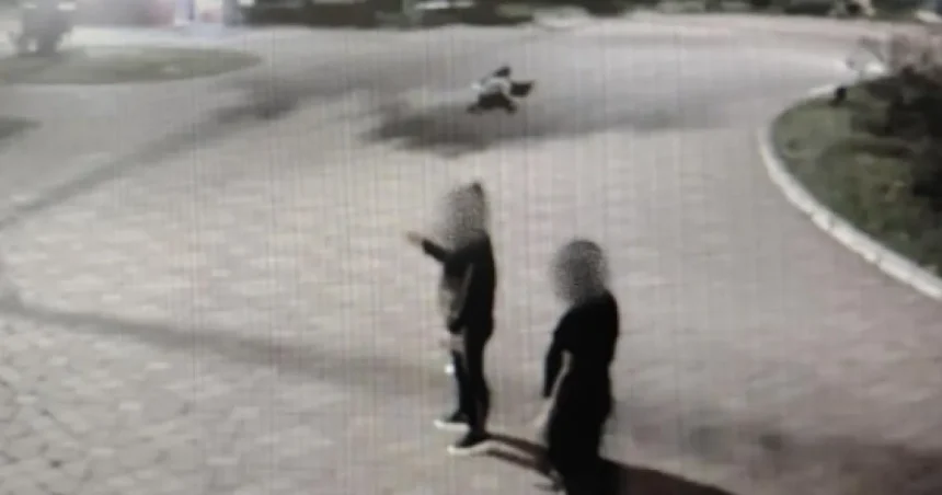 Scandal într-un parc din Botoșani: Două fete, bătute și duse la Urgențe