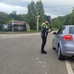 Șofer din Botoșani rămas fără permis pe DN 29