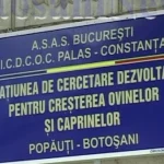 Stațiunea de Cercetare Popăuți recrutează personal cu studii superioare