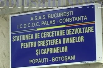 Stațiunea de Cercetare Popăuți recrutează personal cu studii superioare