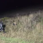 Tânăr din Botoșani mort într-un accident rutier, aruncat pur și simplu din mașină