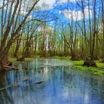 Tezaurul verde ascuns al Botoșaniului, locul ce trebuie vizitat de orice botoșănean