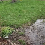 Amendă de 2.500 de lei pentru cei care stau la curte și fac această greșeală