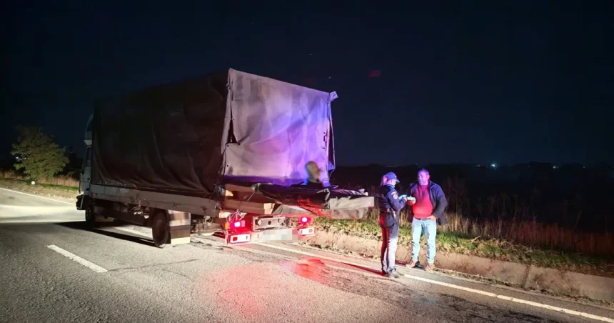 Autoutilitară cu lemne confiscată la Botoșani. Ce au descoperit anchetatorii