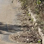Focar de infecție pe o stradă din Botoșani, inundată de dejecții