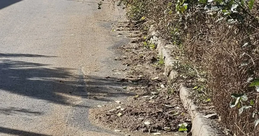 Focar de infecție pe o stradă din Botoșani, inundată de dejecții