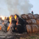 Incendiu astăzi într-o localitate din Botoșani. Un depozit de furaje a luat foc