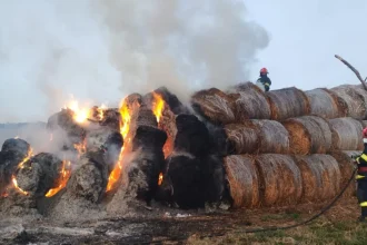 Incendiu astăzi într-o localitate din Botoșani. Un depozit de furaje a luat foc
