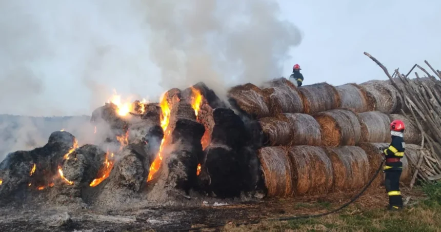 Incendiu astăzi într-o localitate din Botoșani. Un depozit de furaje a luat foc
