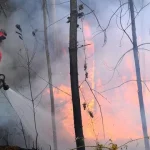 Incendiu puternic lângă o pădure din Botoșani. Localnicii au alertat autoritățile