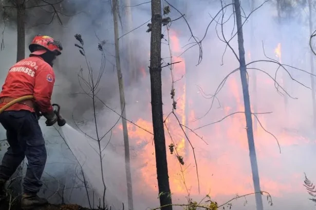 Incendiu puternic lângă o pădure din Botoșani. Localnicii au alertat autoritățile