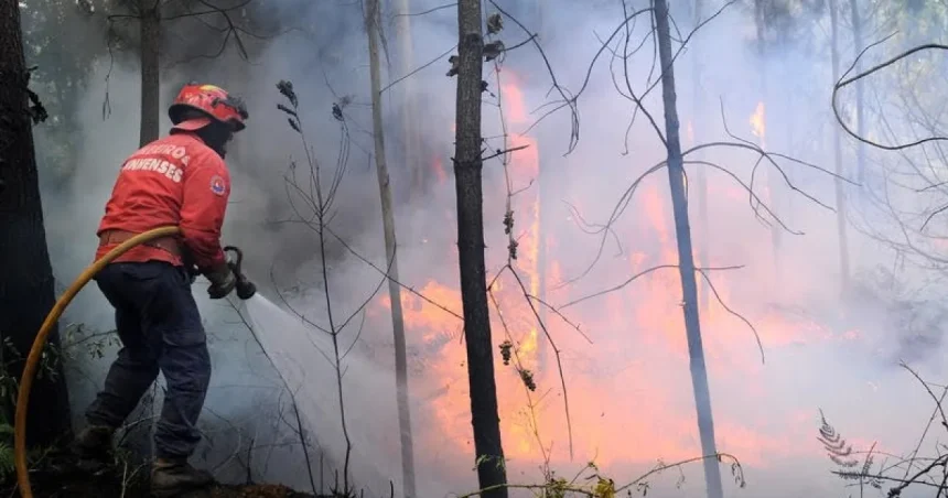 Incendiu puternic lângă o pădure din Botoșani. Localnicii au alertat autoritățile