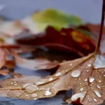 Vremea se schimbă radical! Prognoza meteo pentru următoarele două săptămâni