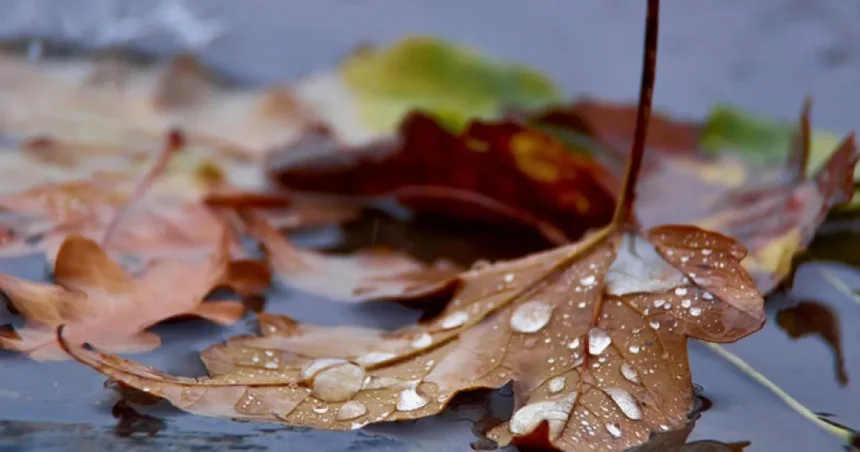 Vremea se schimbă radical! Prognoza meteo pentru următoarele două săptămâni